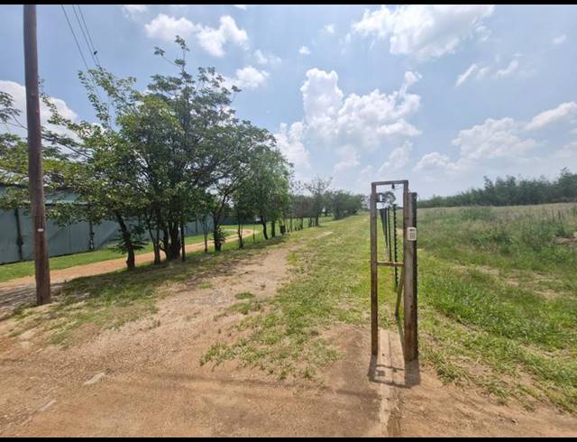 FARM FOR SALE IN MNANDI